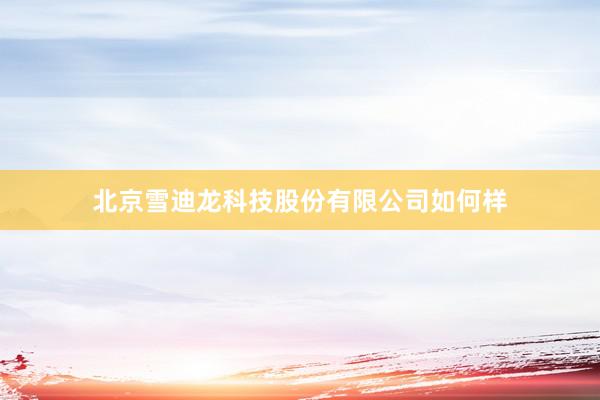 北京雪迪龙科技股份有限公司如何样